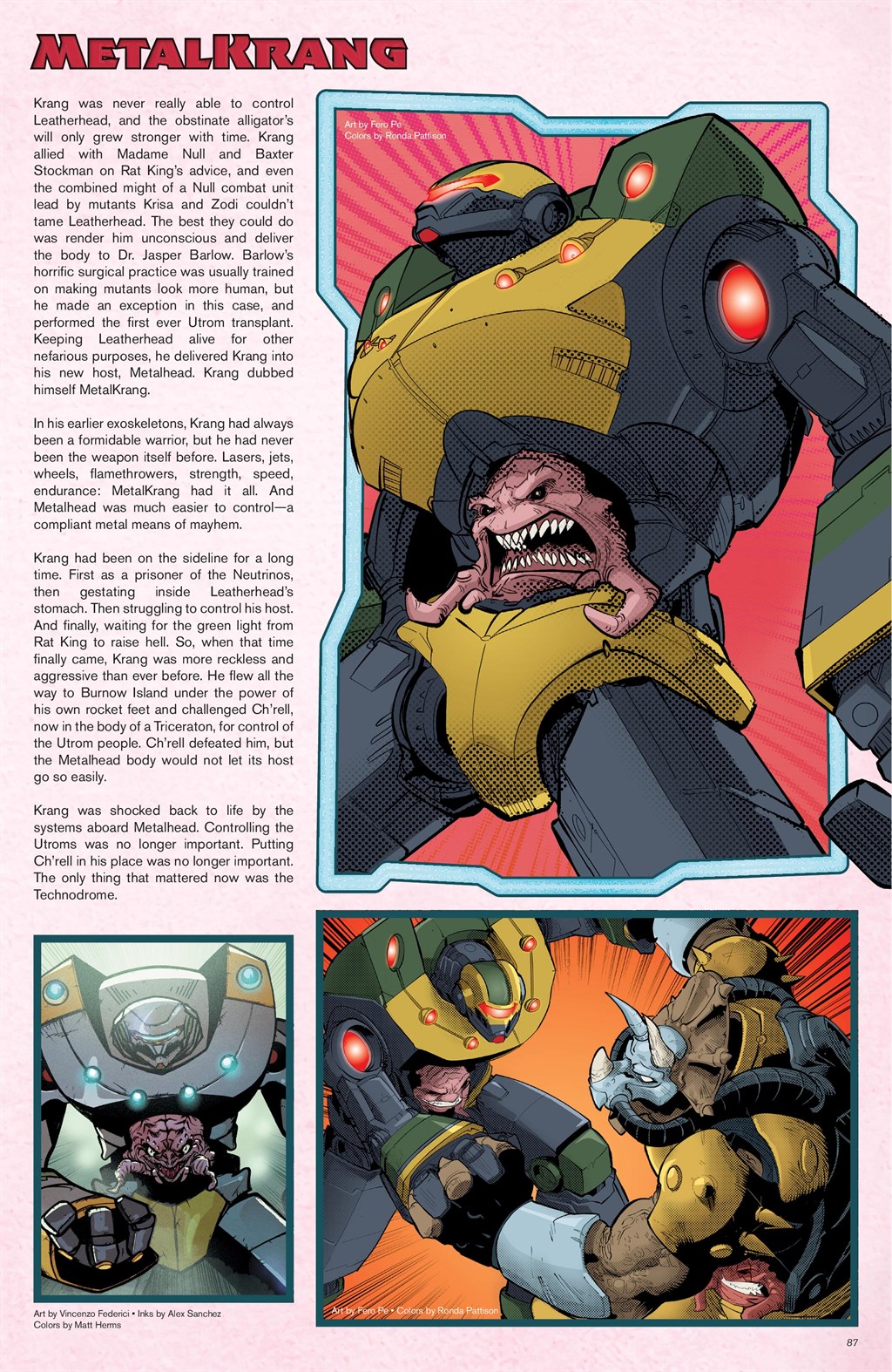 Teenage Mutant Ninja Turtles: Sourcebook issue 2 - Page 78