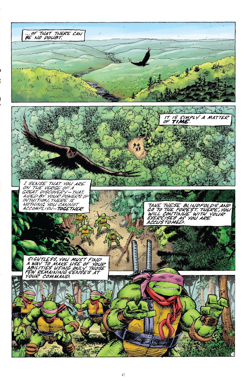 Teenage Mutant Ninja Turtles Classics issue Vol. 6 - Page 48