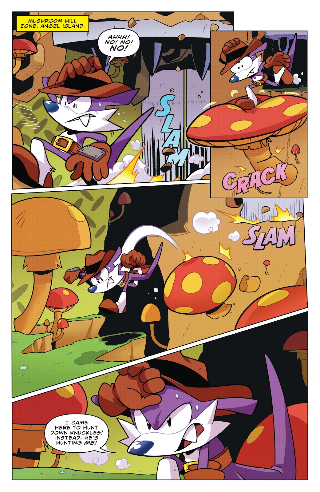 Sonic the Hedgehog: Fang the Hunter issue 2 - Page 3