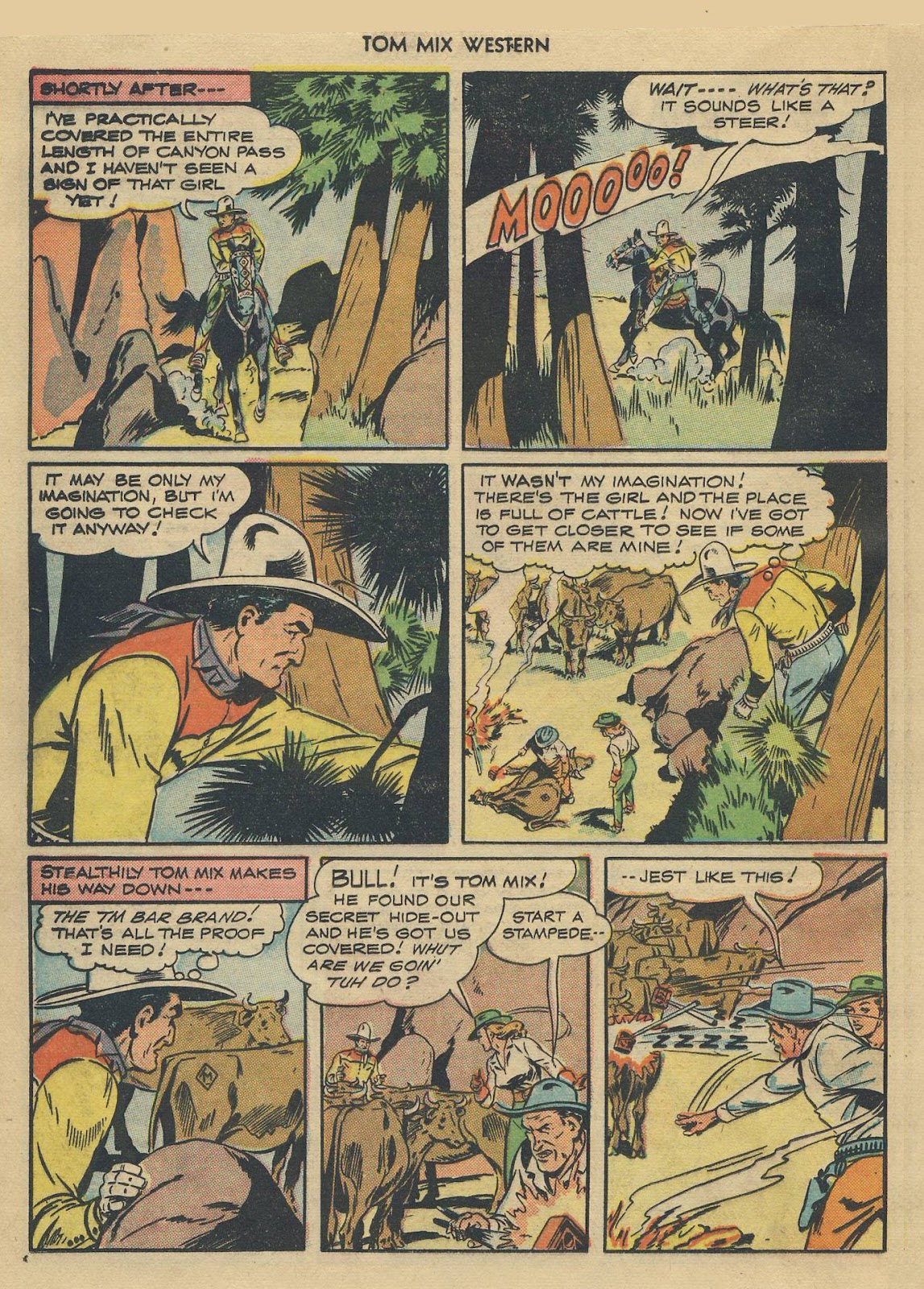 Tom Mix Western (1948) issue 4 - Page 36