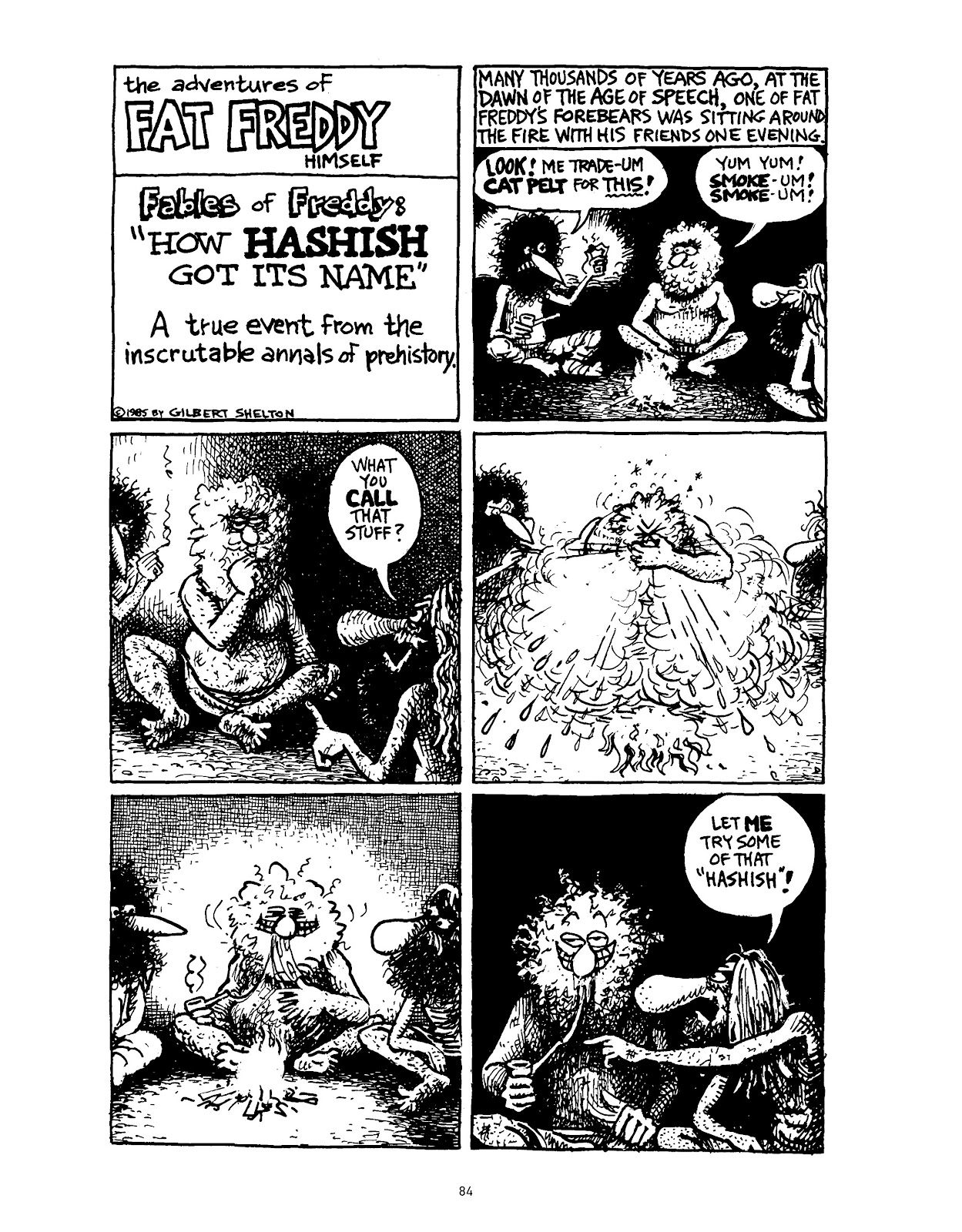 The Fabulous Furry Freak Brothers: In the 21st Century and Other Follies issue TPB - Page 93