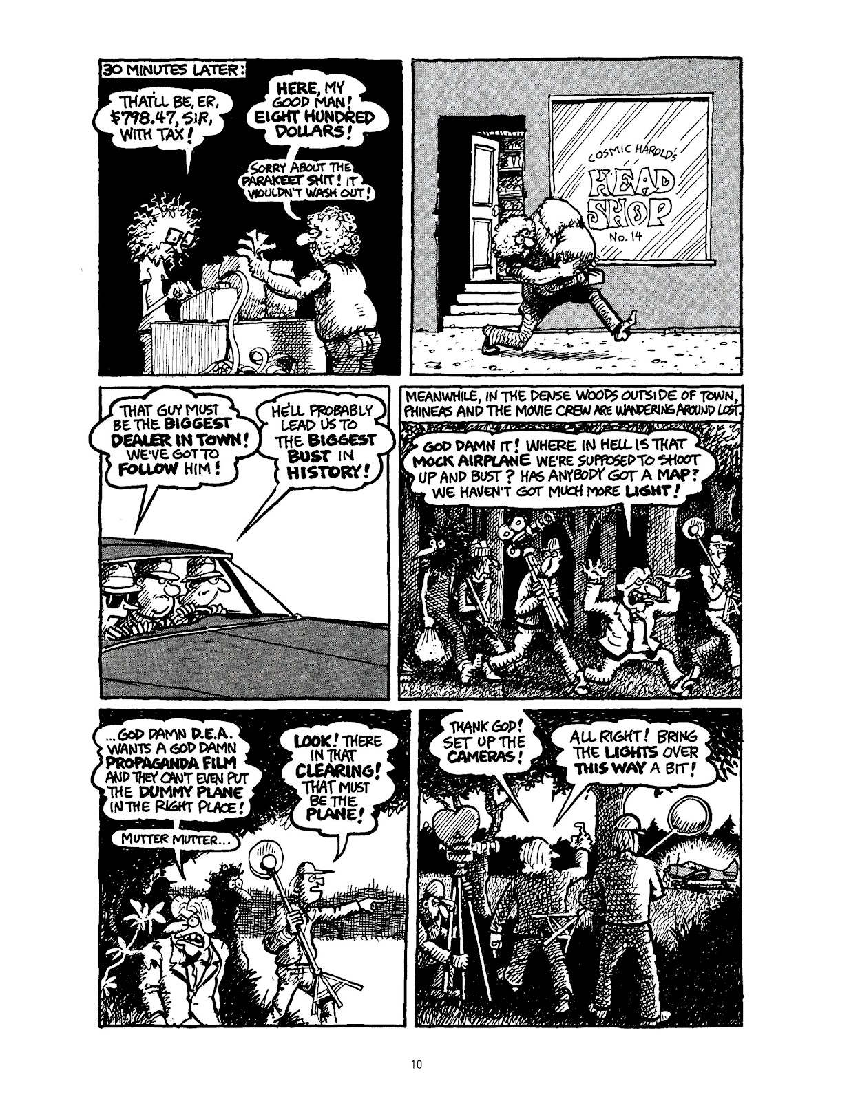 The Fabulous Furry Freak Brothers: In the 21st Century and Other Follies issue Grass Roots and Other Follies - Page 17