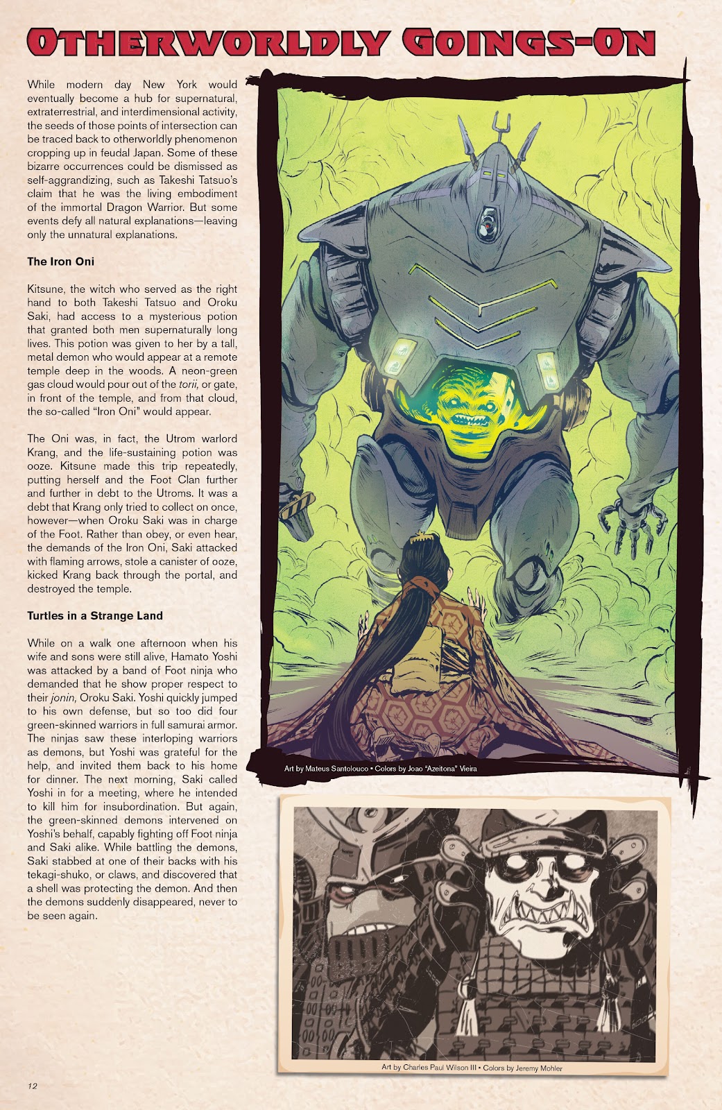 Teenage Mutant Ninja Turtles: Sourcebook issue 1 - Page 11