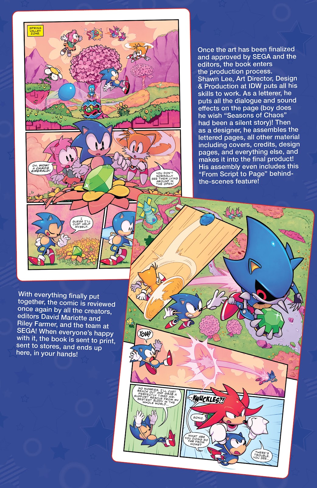 Sonic the Hedgehog: Seasons of Chaos issue TPB - Page 110