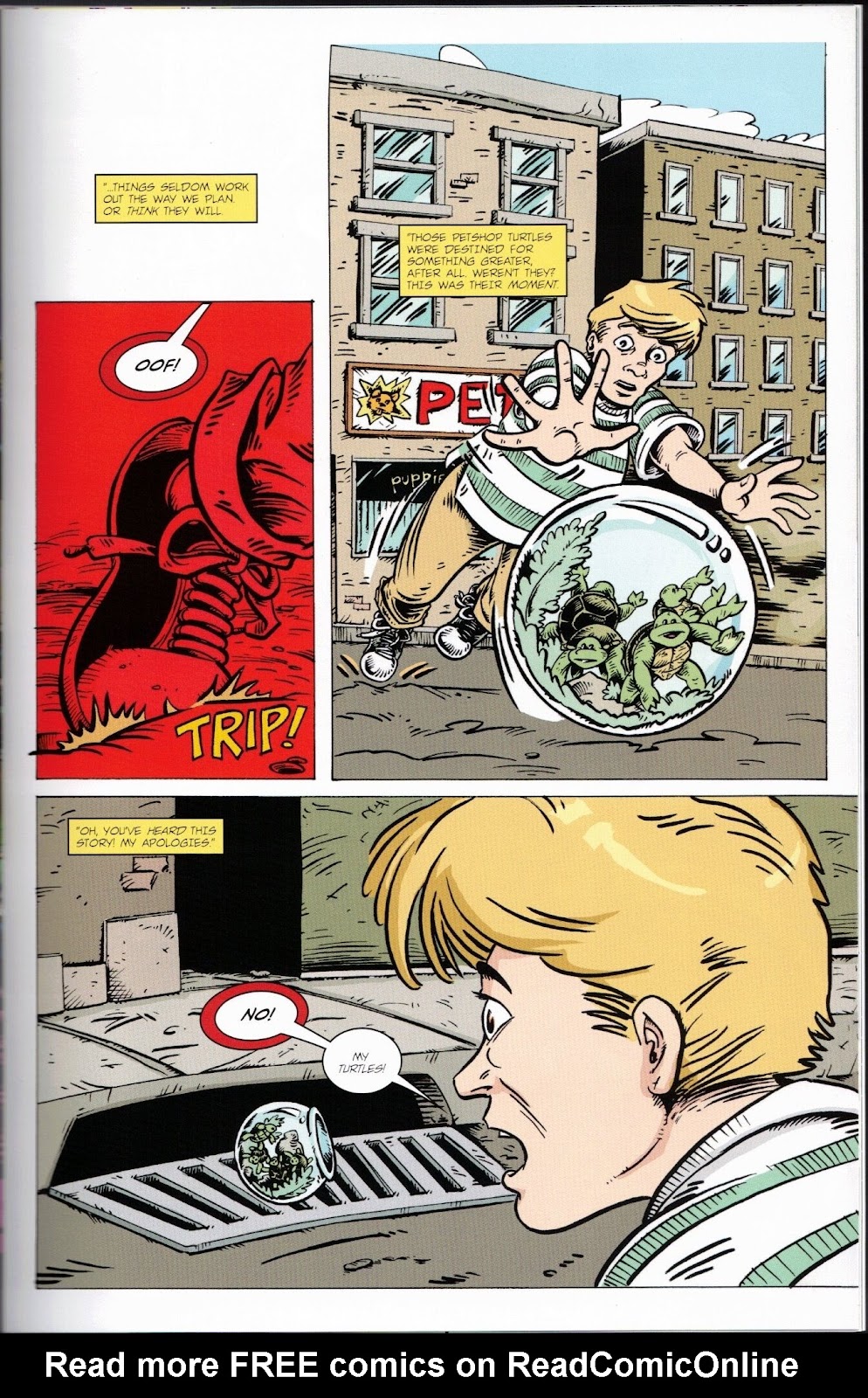 Teenage Mutant Ninja Turtles Adventures (1989) issue 74 - Page 11