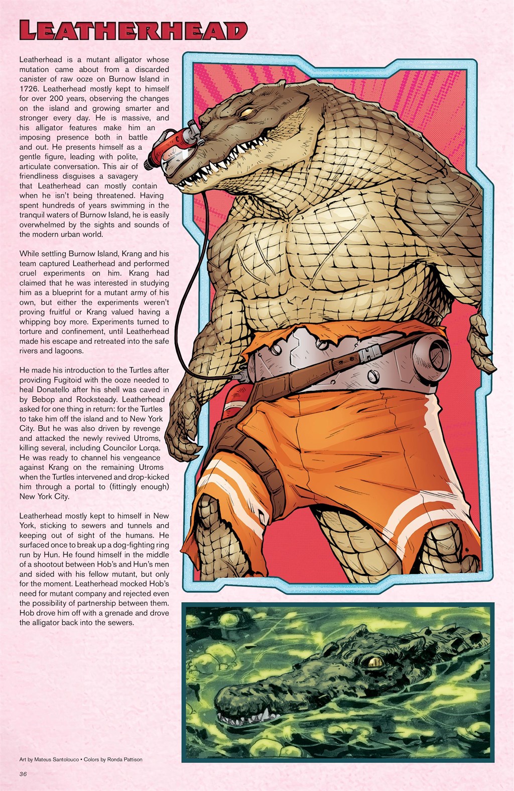 Teenage Mutant Ninja Turtles: Sourcebook issue 2 - Page 33