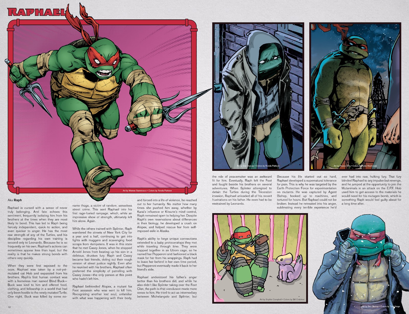 Teenage Mutant Ninja Turtles: Sourcebook issue 1 - Page 16
