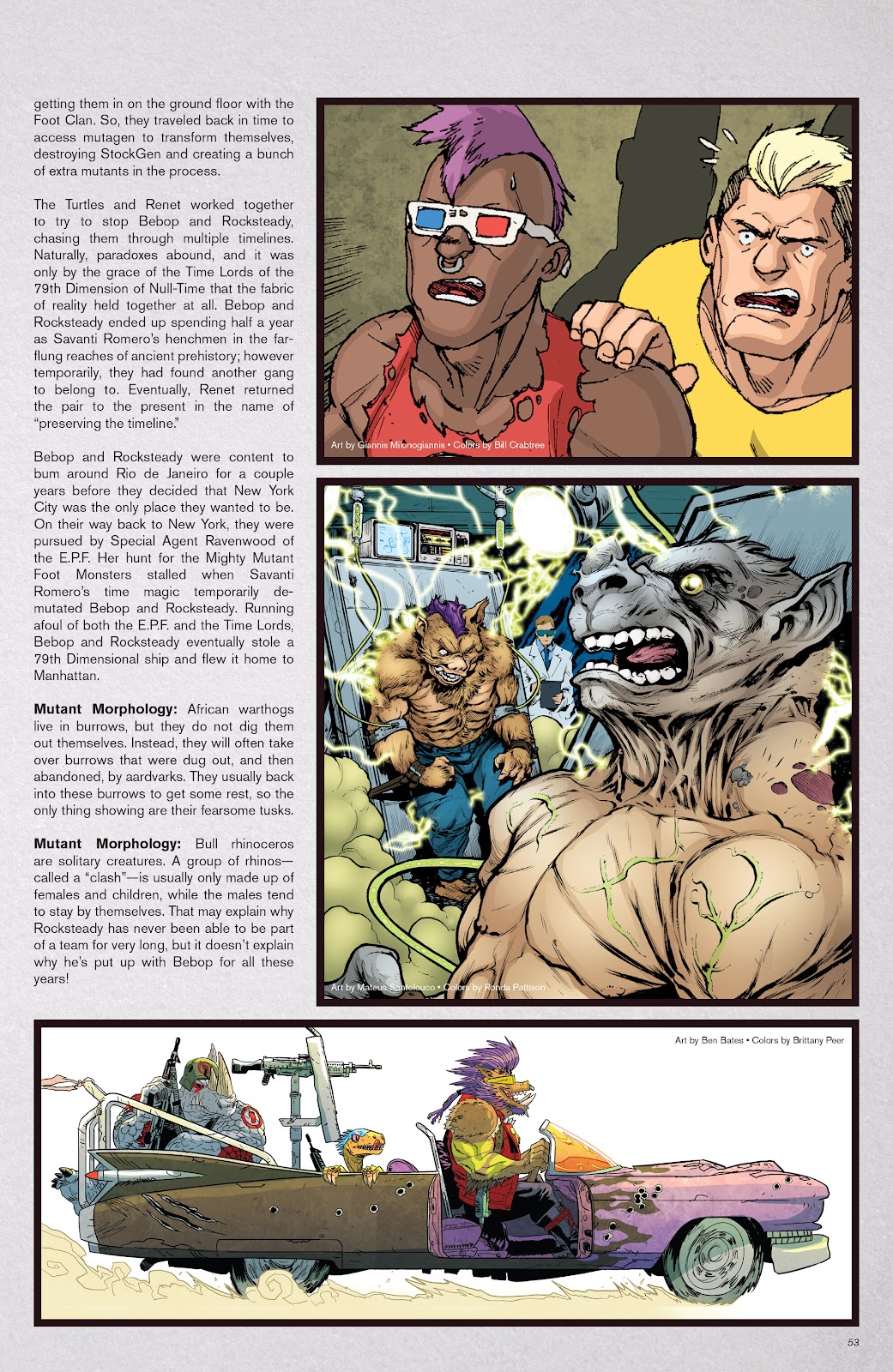Teenage Mutant Ninja Turtles: Sourcebook issue 1 - Page 48