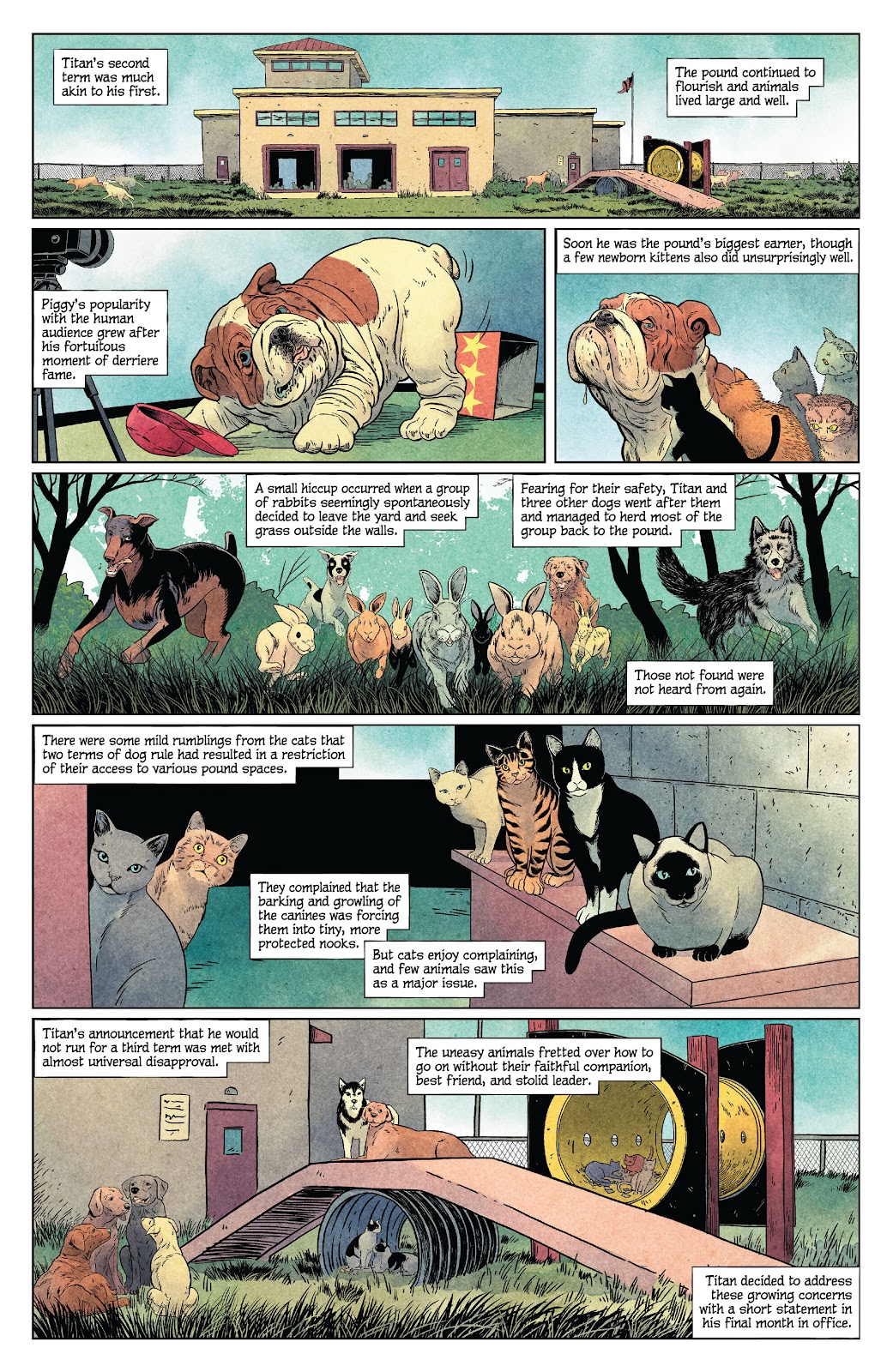 Animal Pound issue 3 - Page 11
