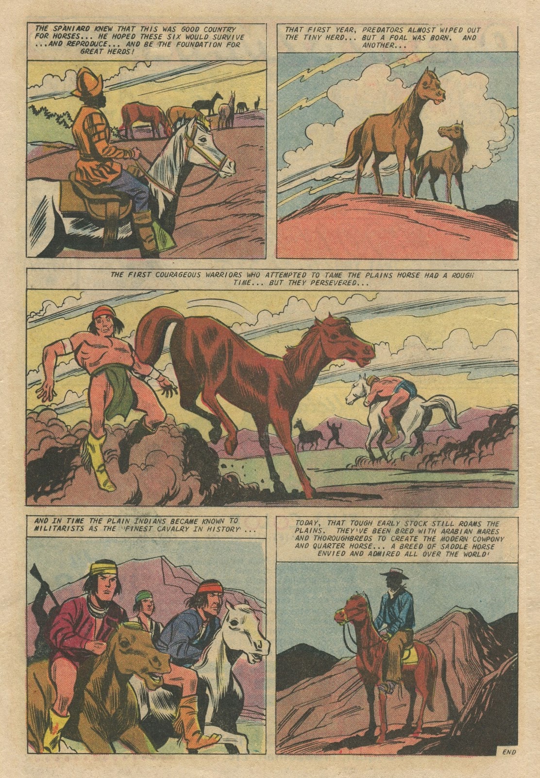 Texas Rangers in Action issue 59 - Page 24