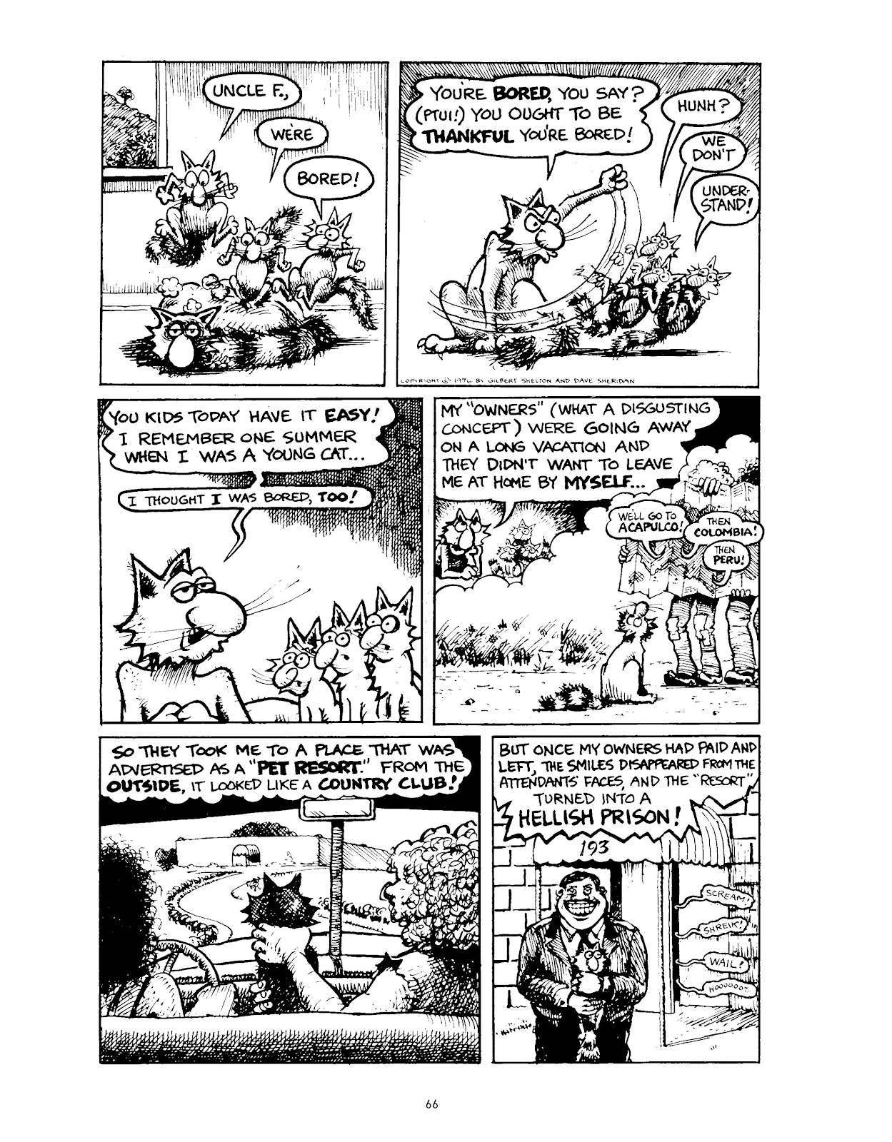 The Fabulous Furry Freak Brothers: In the 21st Century and Other Follies issue Grass Roots and Other Follies - Page 73