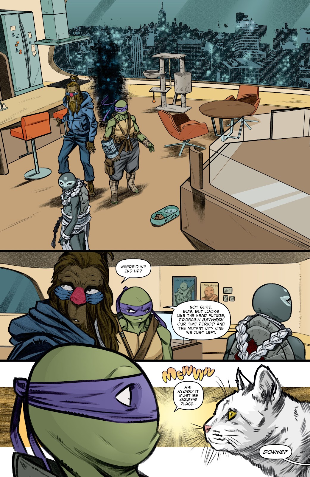 Teenage Mutant Ninja Turtles (2011) issue 149 - Page 13