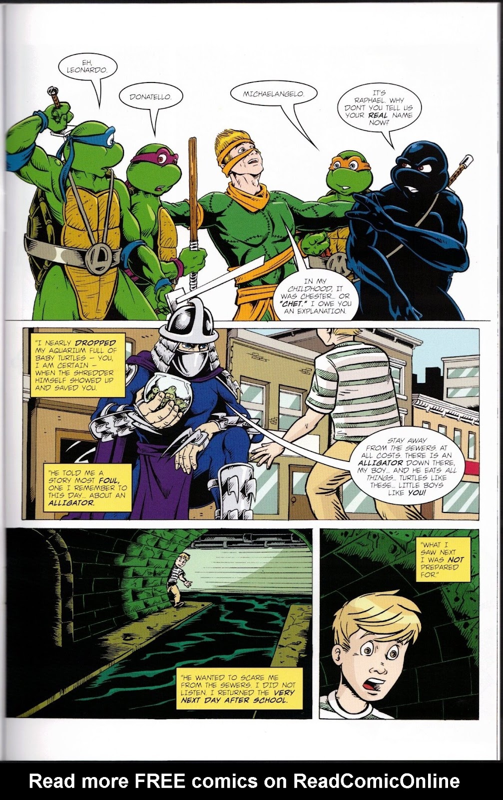 Teenage Mutant Ninja Turtles Adventures (1989) issue 76 - Page 11