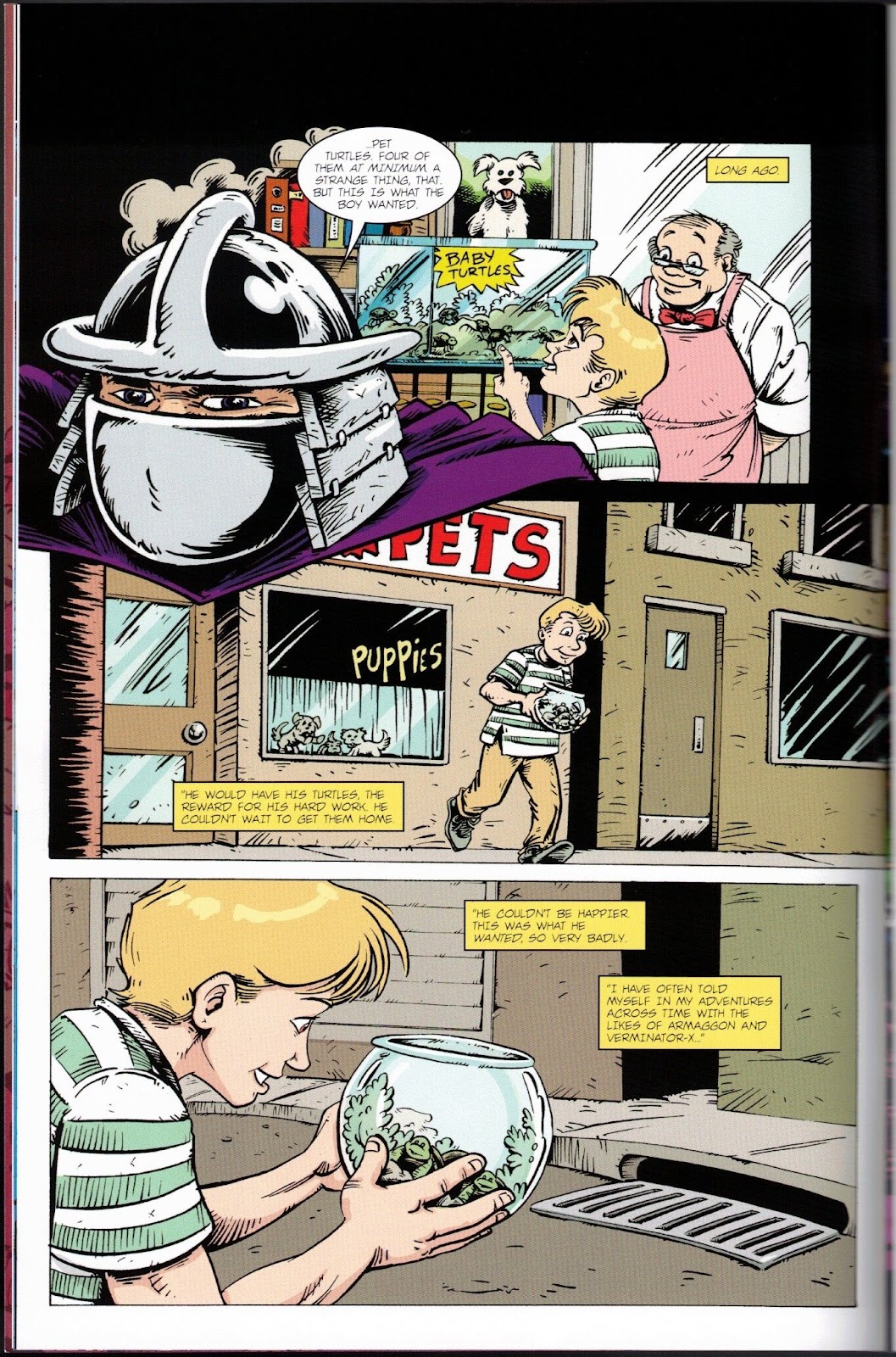 Teenage Mutant Ninja Turtles Adventures (1989) issue 74 - Page 10