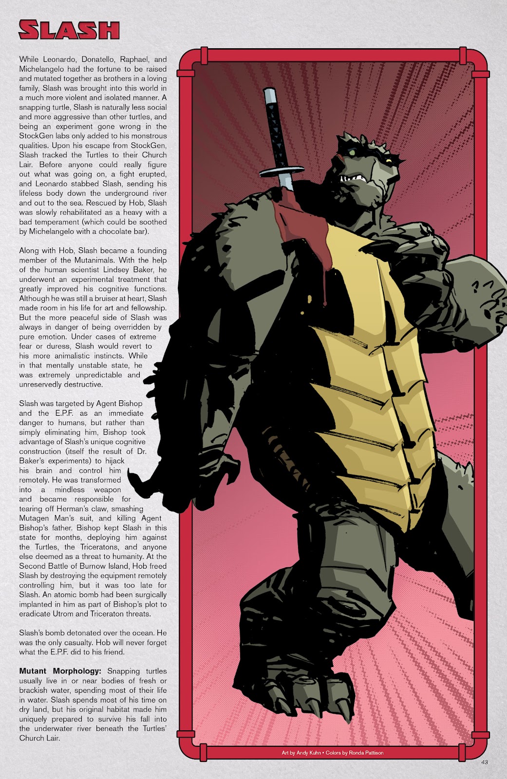 Teenage Mutant Ninja Turtles: Sourcebook issue 1 - Page 38
