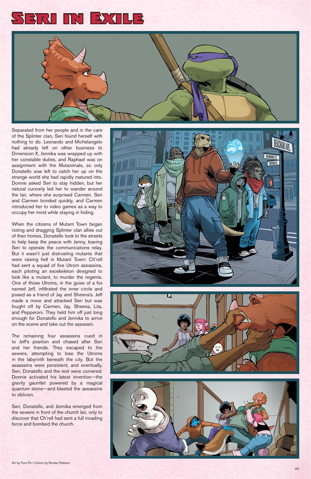 Teenage Mutant Ninja Turtles: Sourcebook issue 2 - Page 76