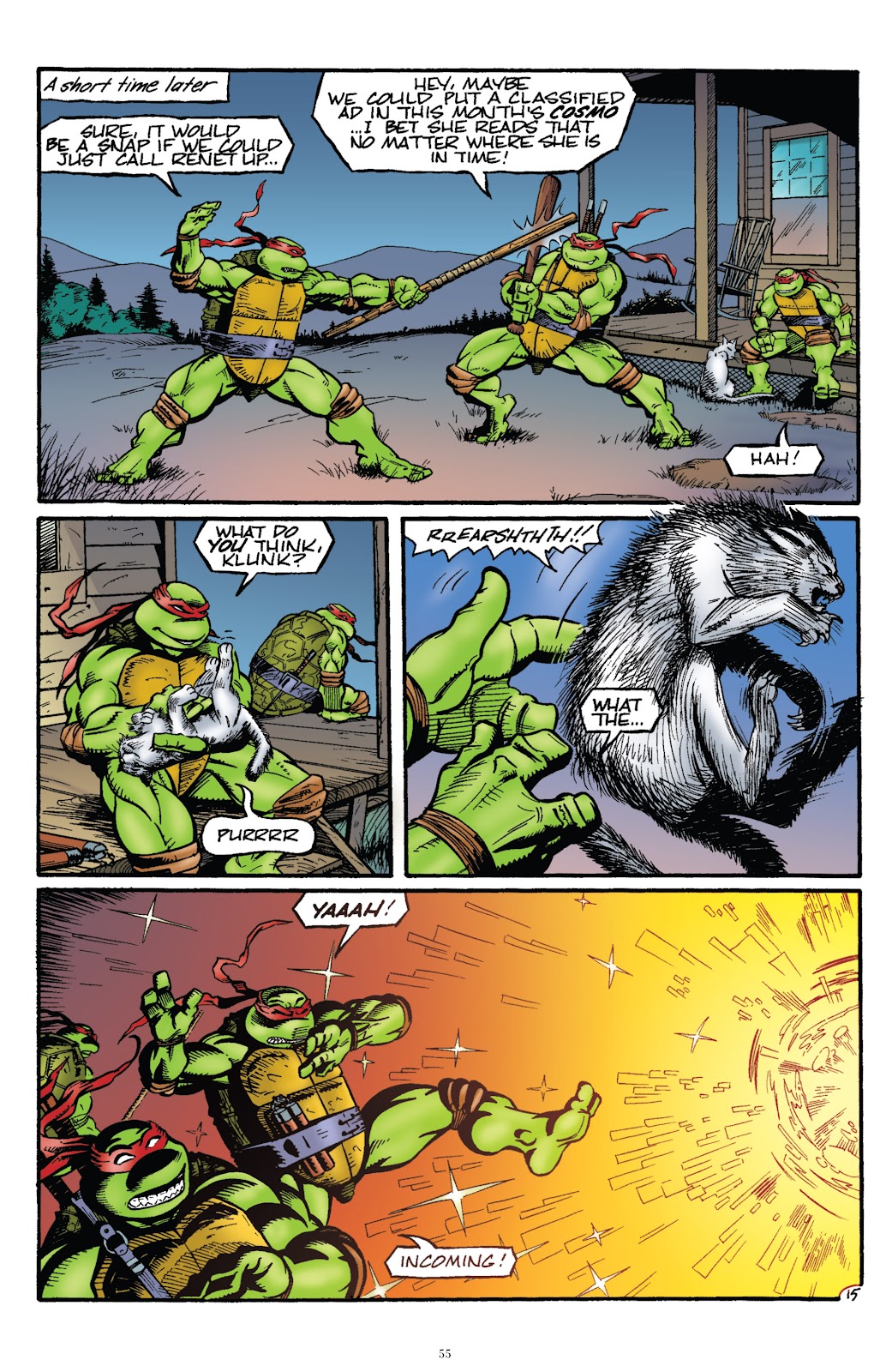 Teenage Mutant Ninja Turtles Classics issue Vol. 7 - Page 50