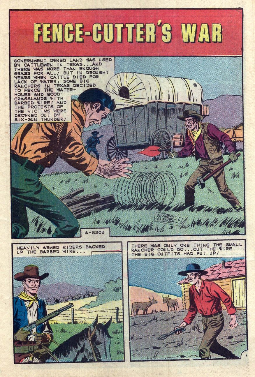 Texas Rangers in Action issue 54 - Page 31
