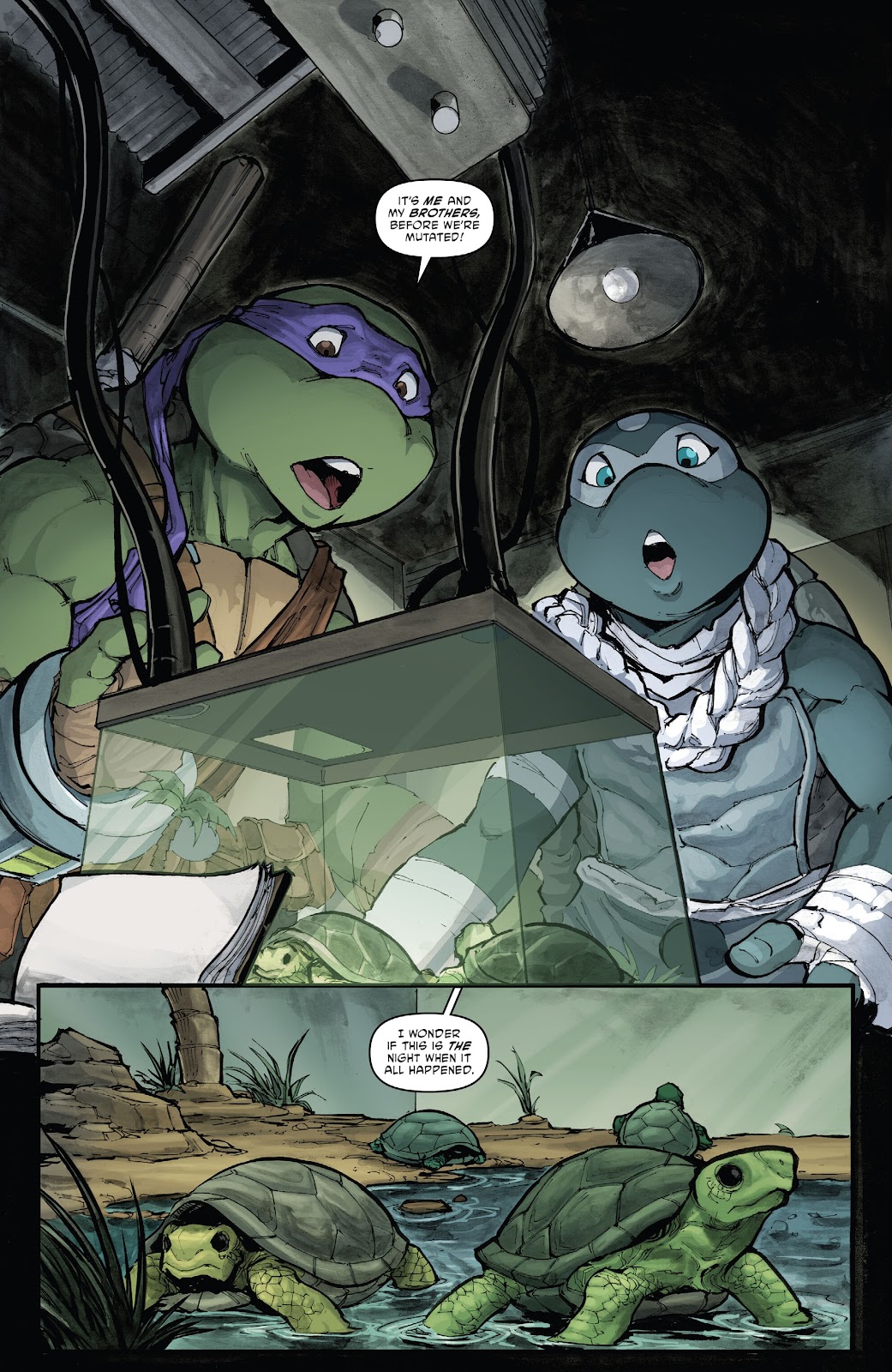 Teenage Mutant Ninja Turtles (2011) issue 150 - Page 8