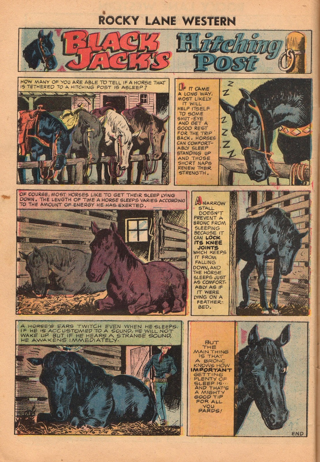Rocky Lane Western (1954) issue 72 - Page 8
