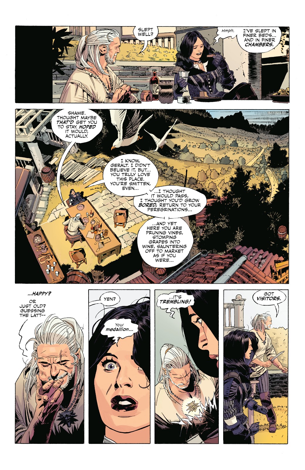 The Witcher: Corvo Bianco issue 1 - Page 21