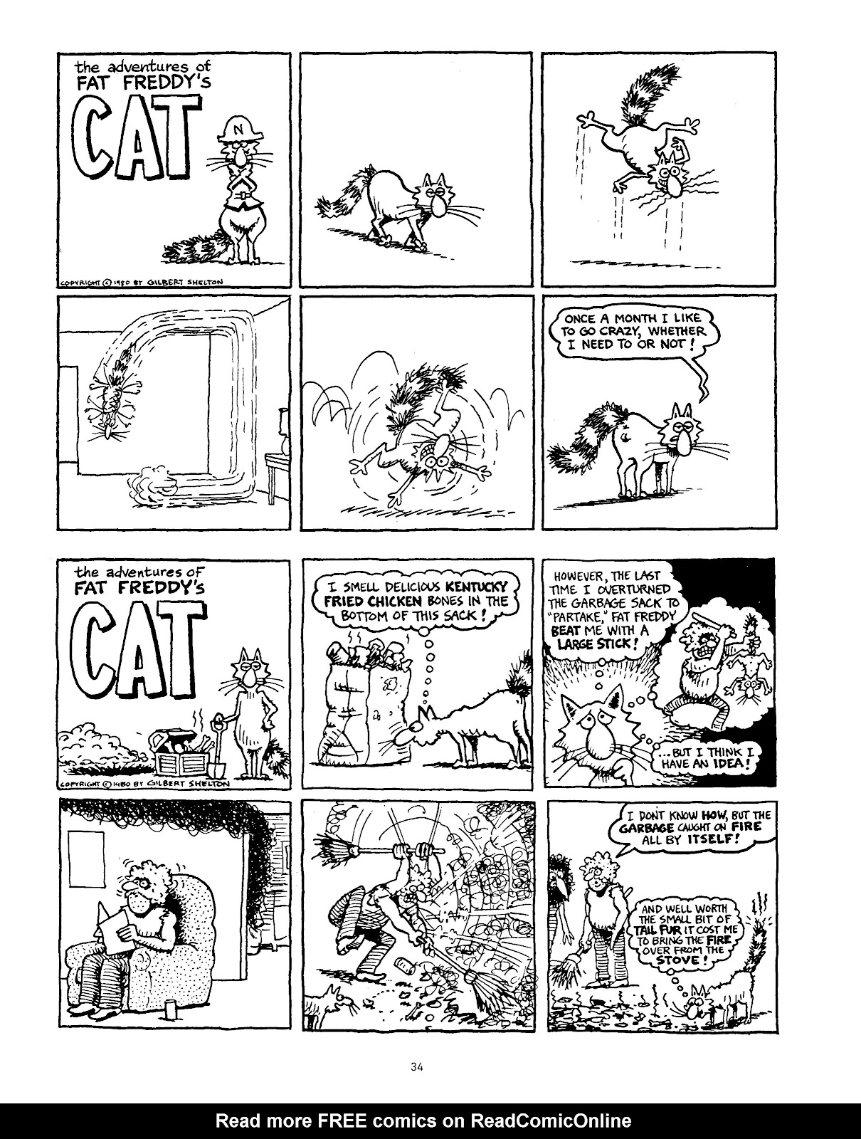 The Fabulous Furry Freak Brothers: In the 21st Century and Other Follies issue TPB - Page 43