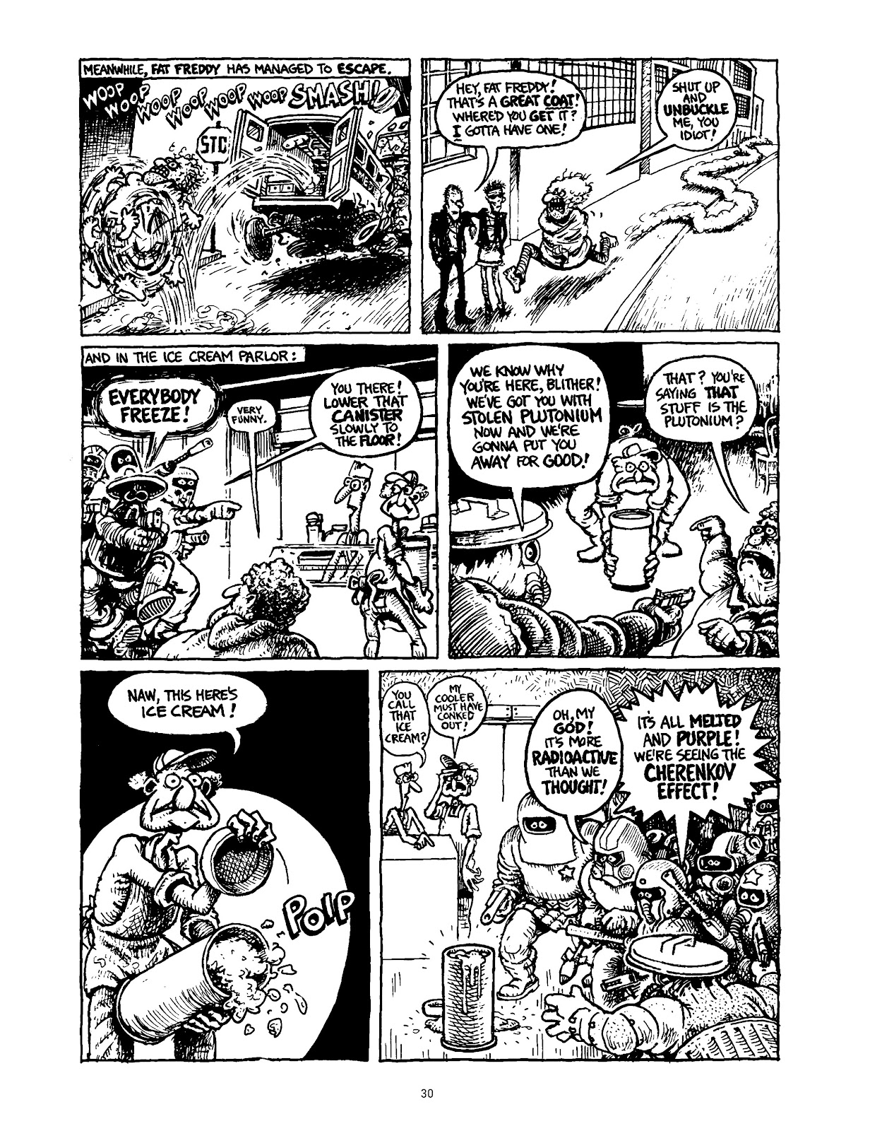 The Fabulous Furry Freak Brothers: In the 21st Century and Other Follies issue TPB - Page 39