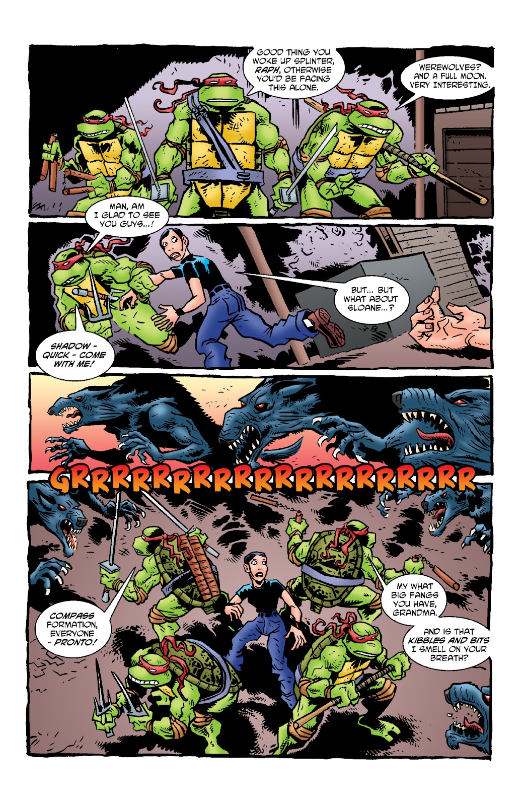 Tales of the Teenage Mutant Ninja Turtles issue TPB 4 - Page 95