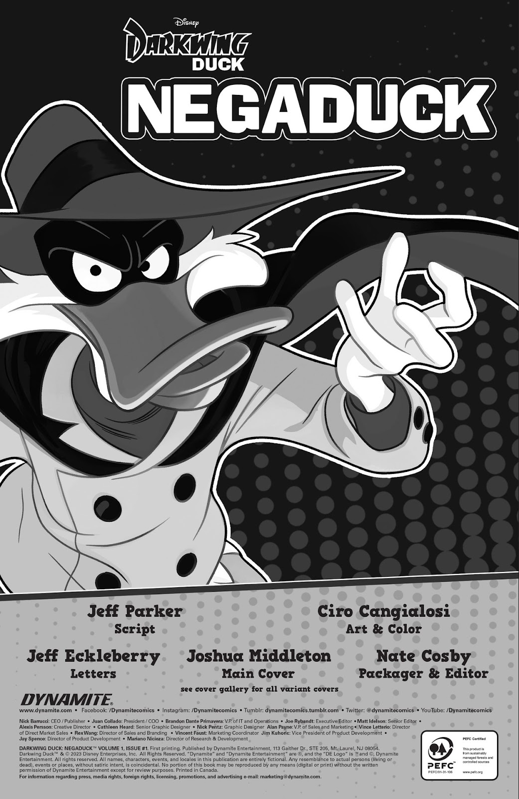 Darkwing Duck: Negaduck issue 1 - Page 6