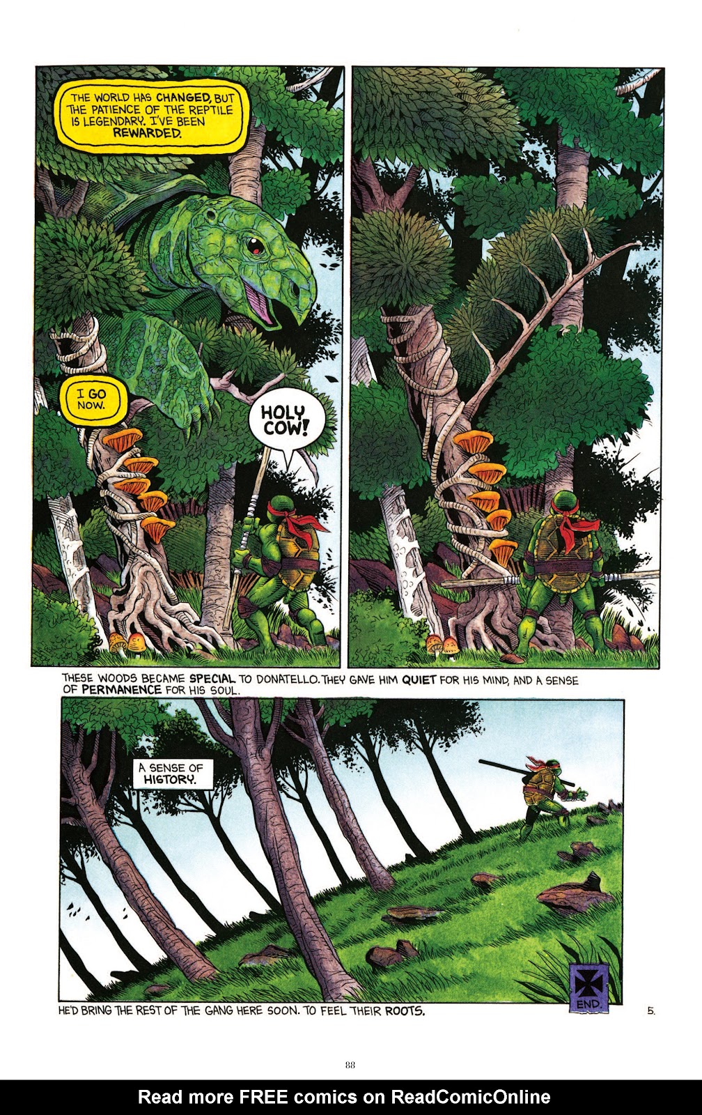 Teenage Mutant Ninja Turtles Classics issue Vol. 4 - Page 85