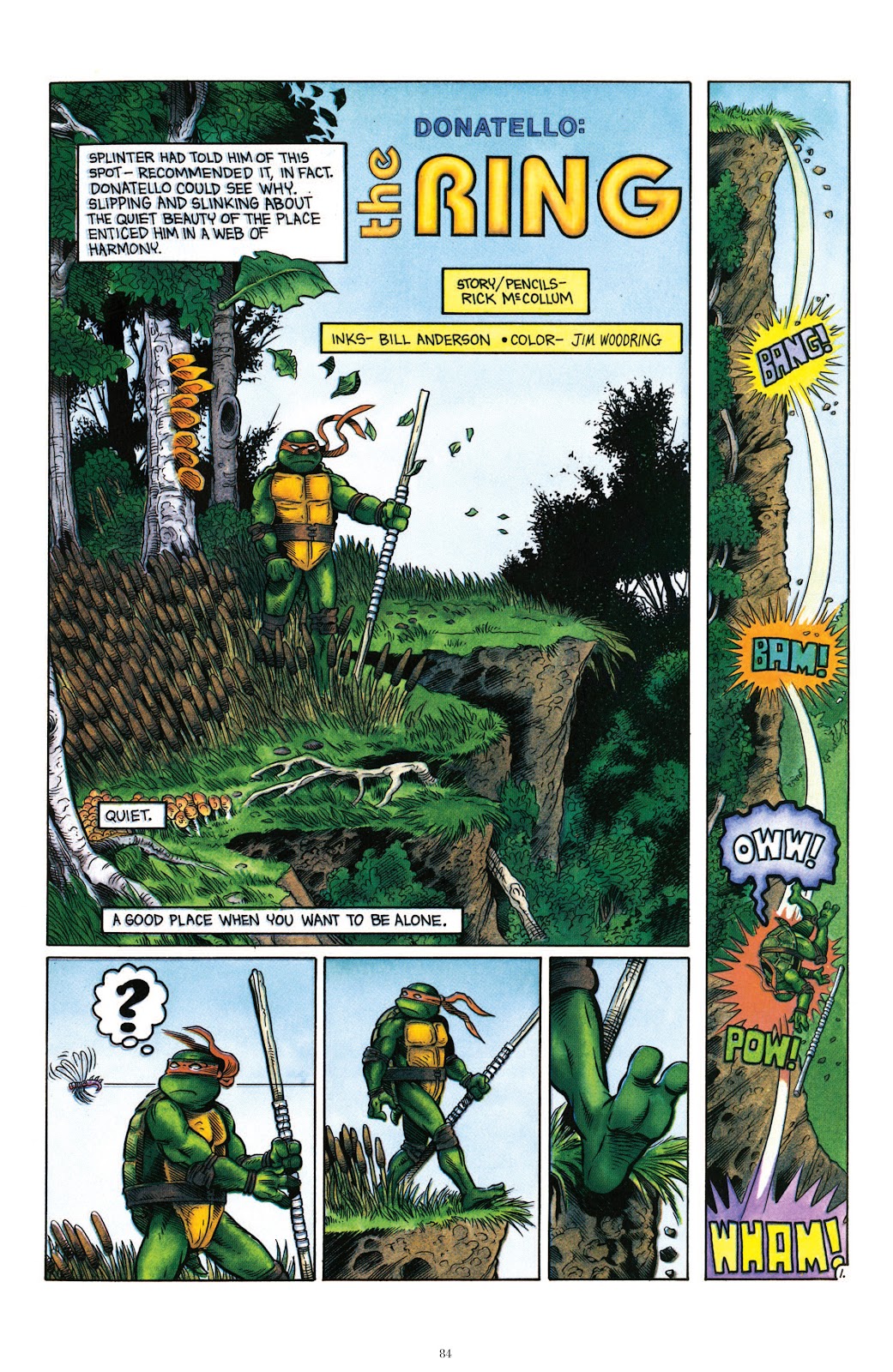 Teenage Mutant Ninja Turtles Classics issue Vol. 4 - Page 81