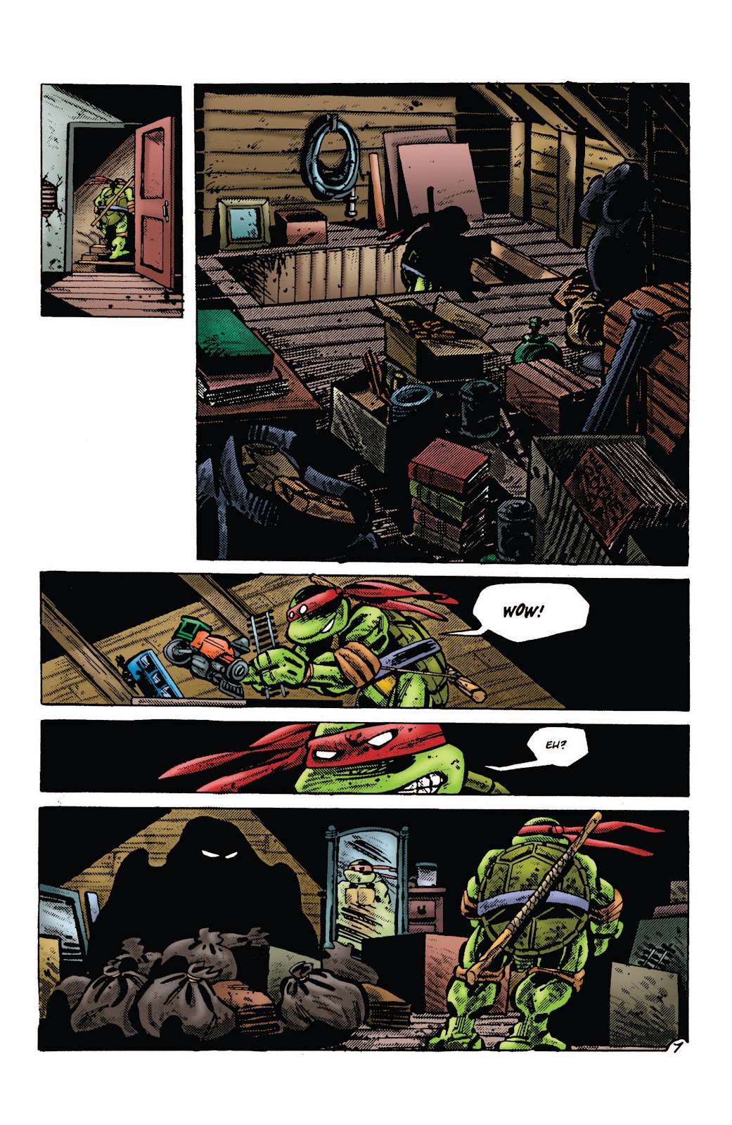 Tales of the Teenage Mutant Ninja Turtles issue TPB 1 - Page 13