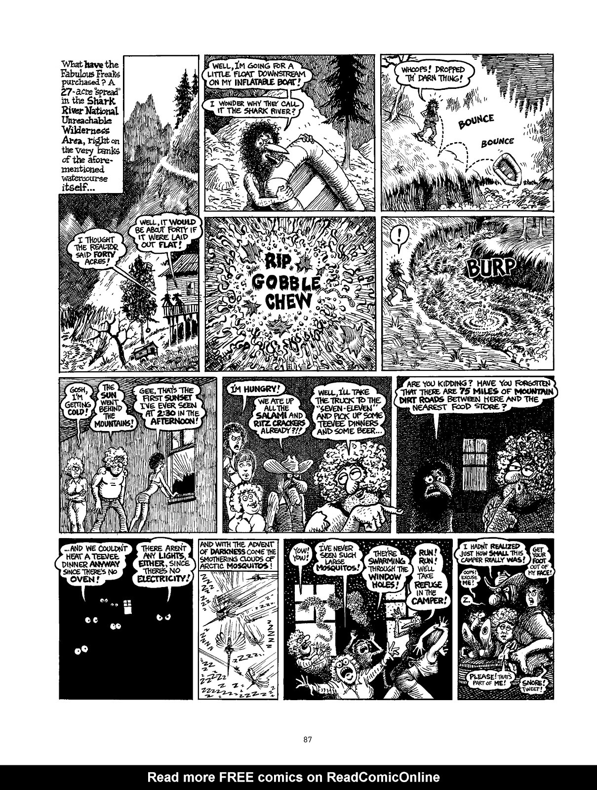 The Fabulous Furry Freak Brothers: In the 21st Century and Other Follies issue Grass Roots and Other Follies - Page 94