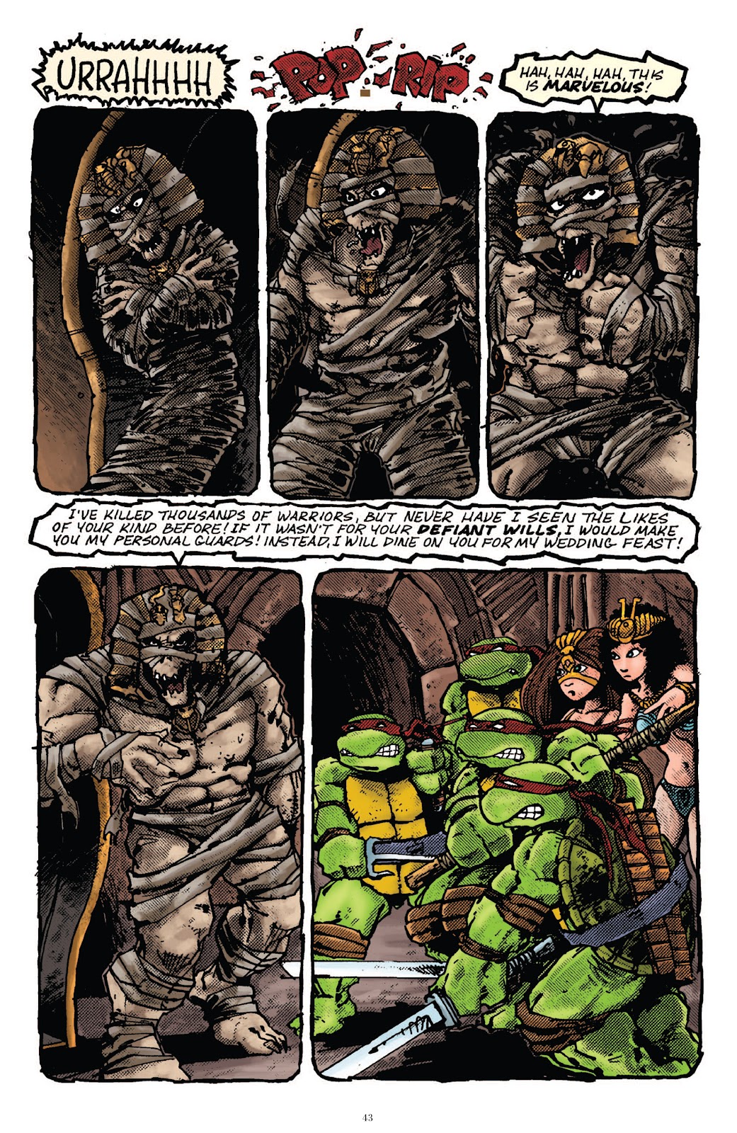 Teenage Mutant Ninja Turtles Classics issue Vol. 4 - Page 43