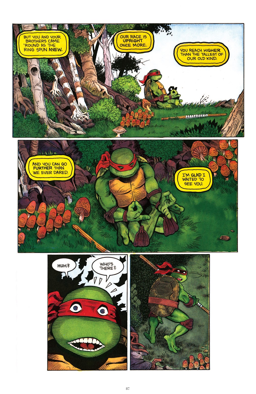 Teenage Mutant Ninja Turtles Classics issue Vol. 4 - Page 84