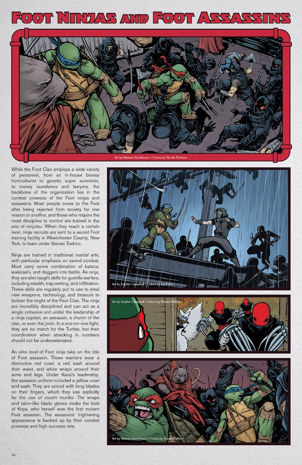 Teenage Mutant Ninja Turtles: Sourcebook issue 1 - Page 49