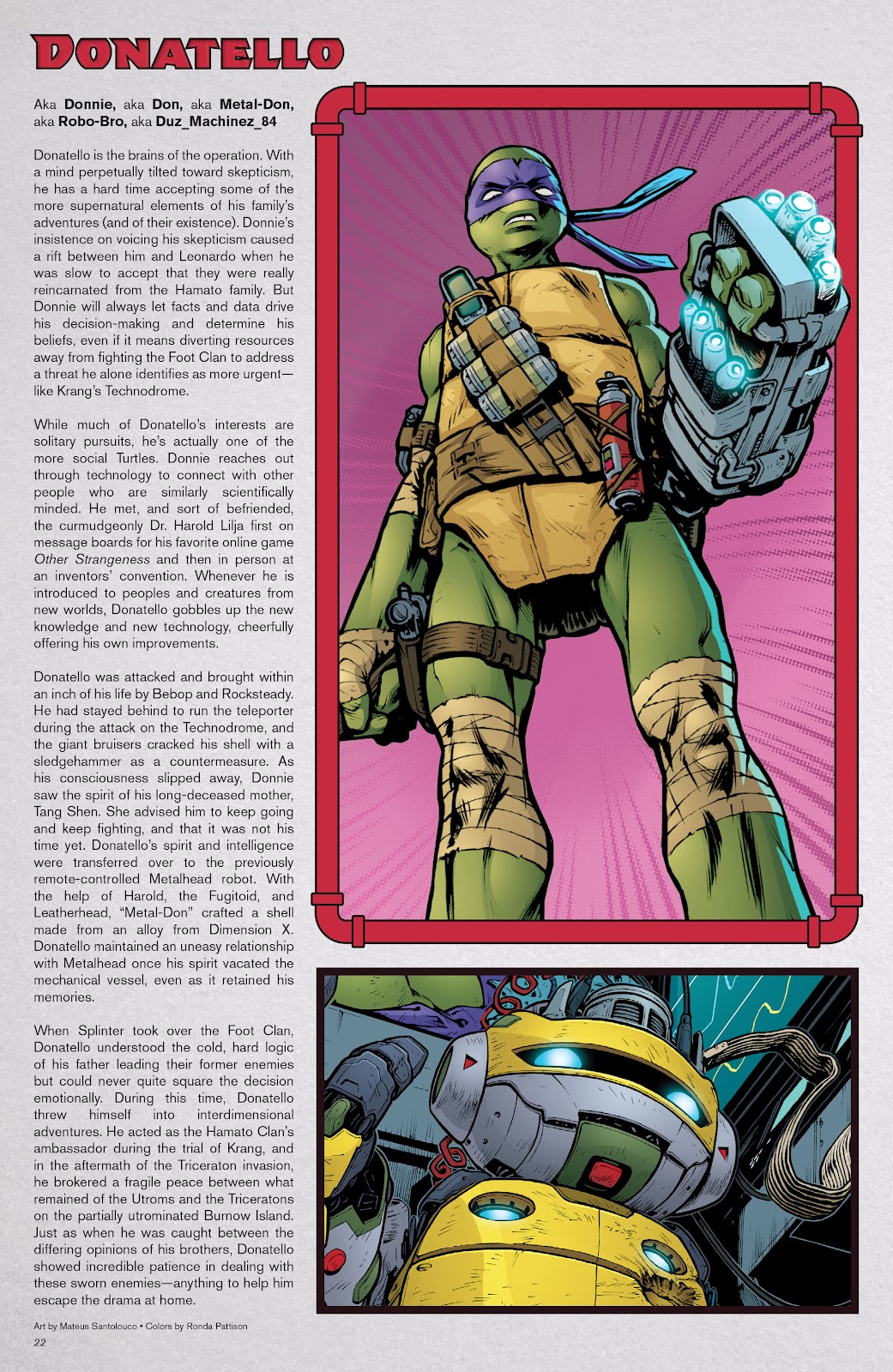 Teenage Mutant Ninja Turtles: Sourcebook issue 1 - Page 19