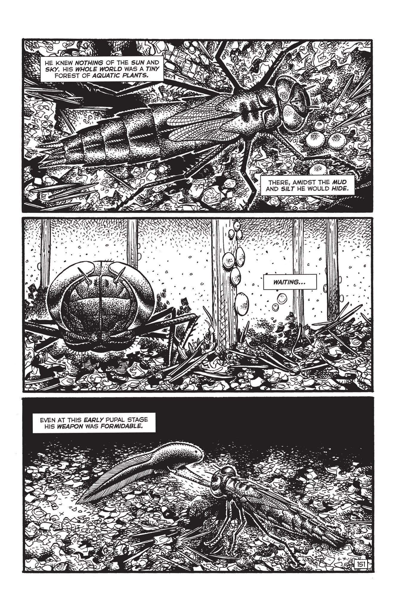 Read online Paleo: Tales of the late Cretaceous comic -  Issue # TPB (Part 2) - 66