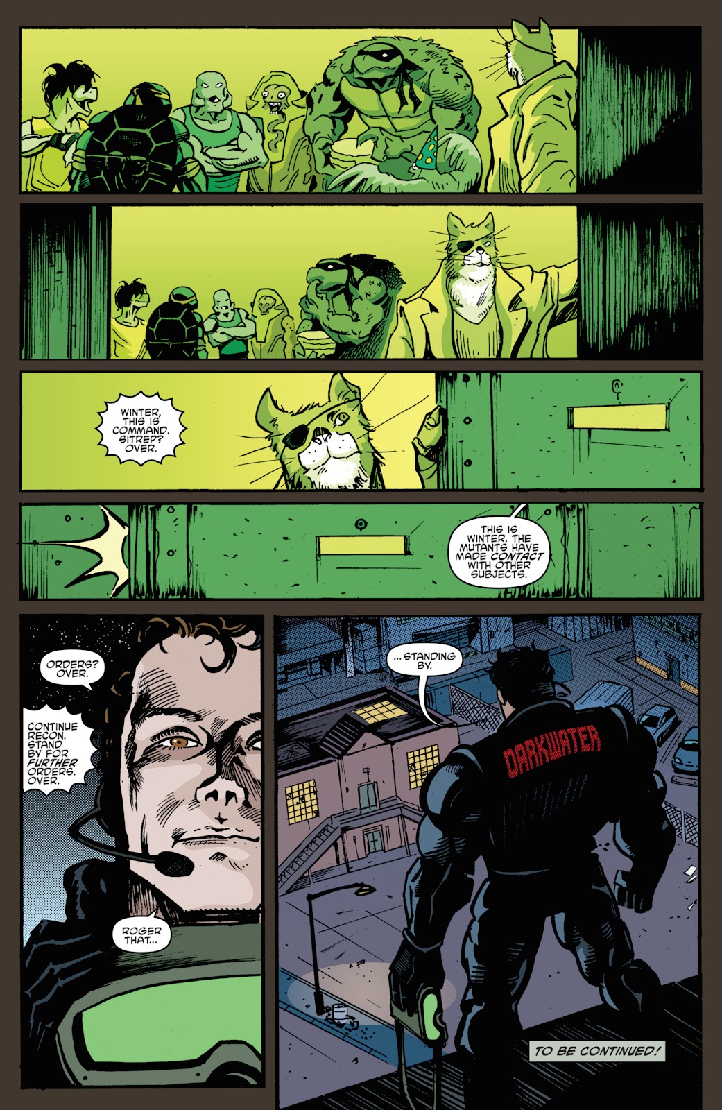 Teenage Mutant Ninja Turtles (2011) issue 52 - Page 23