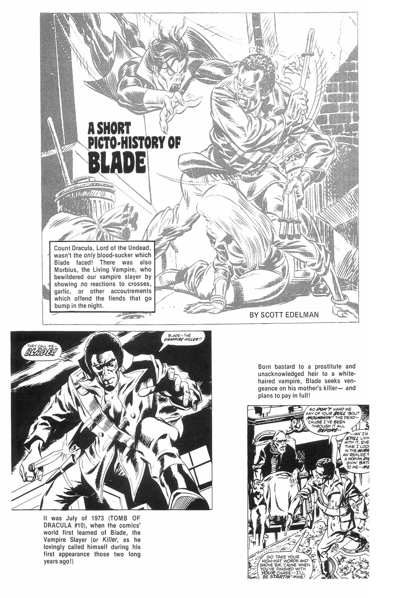 Read online Blade: Black & White comic -  Issue # TPB - 84