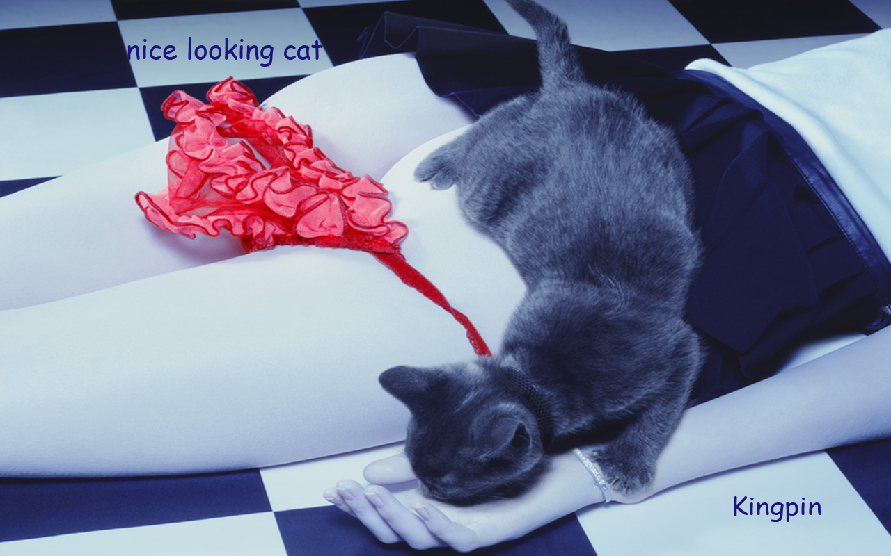 Read online Starstruck (2009) comic -  Issue #9 - 37