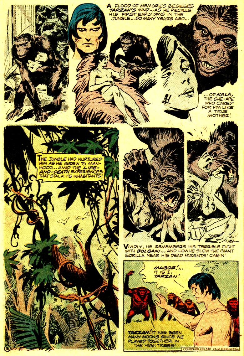 Read online Tarzan (1972) comic -  Issue #222 - 18