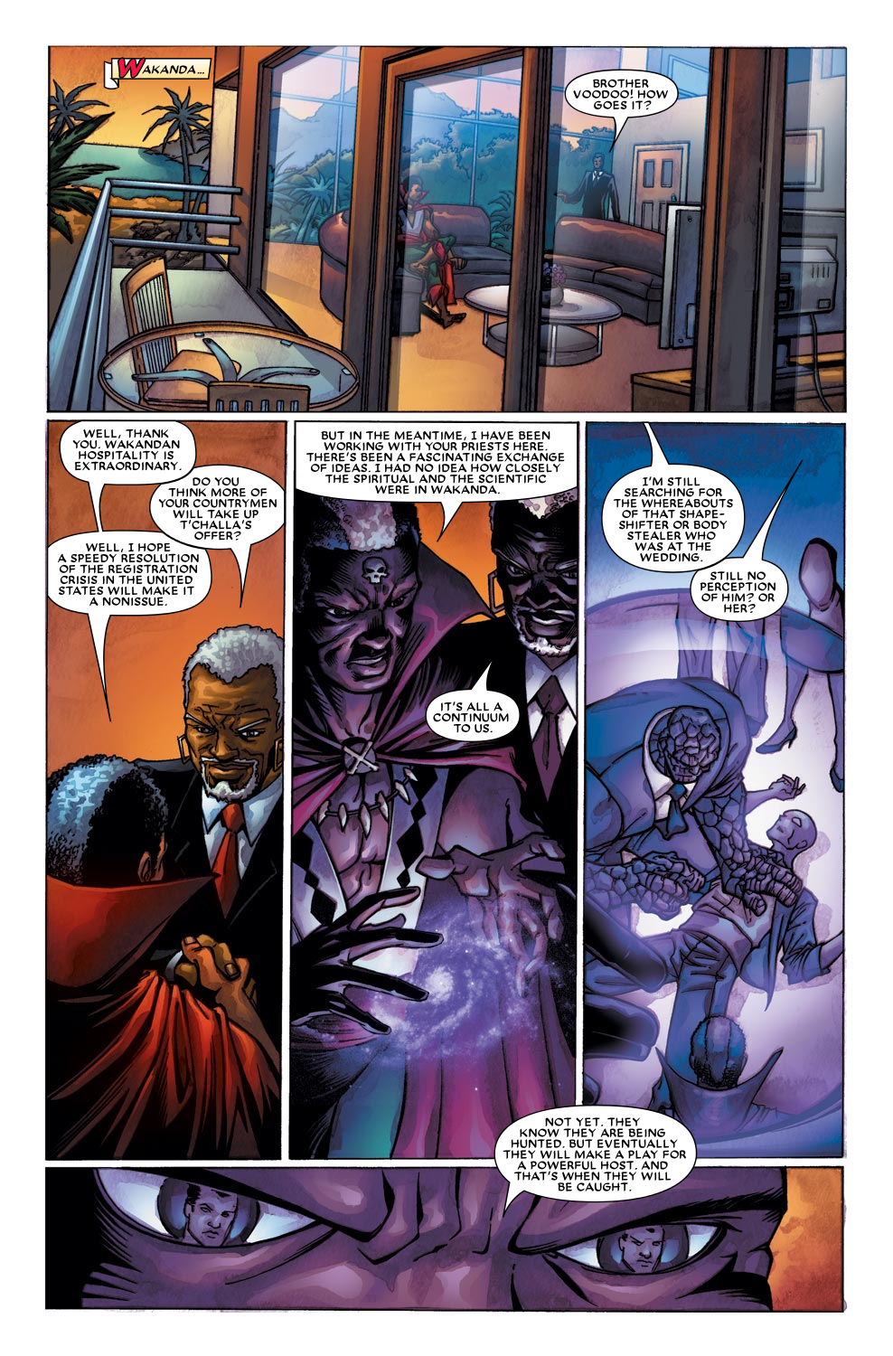 Read online Black Panther (2005) comic -  Issue #24 - 12