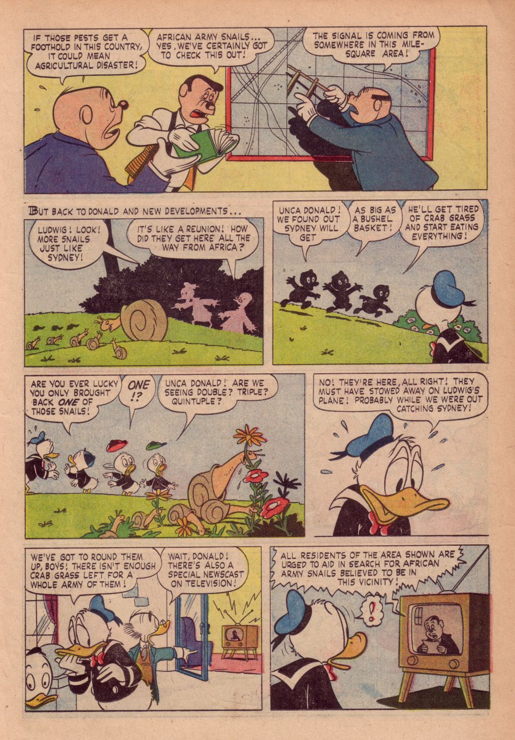 Read online Walt Disney's Donald Duck (1952) comic -  Issue #82 - 11