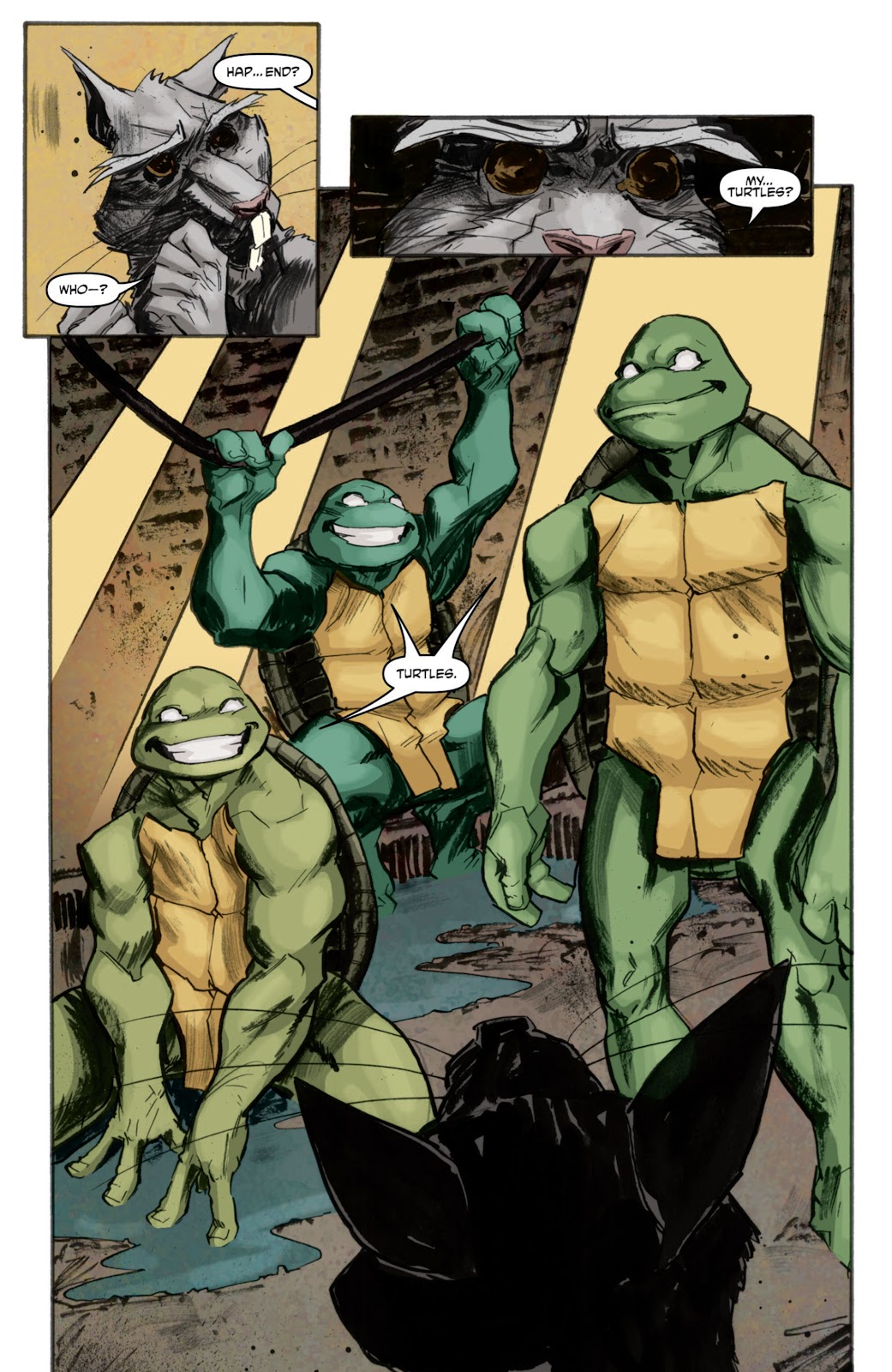 Teenage Mutant Ninja Turtles (2011) issue 3 - Page 22