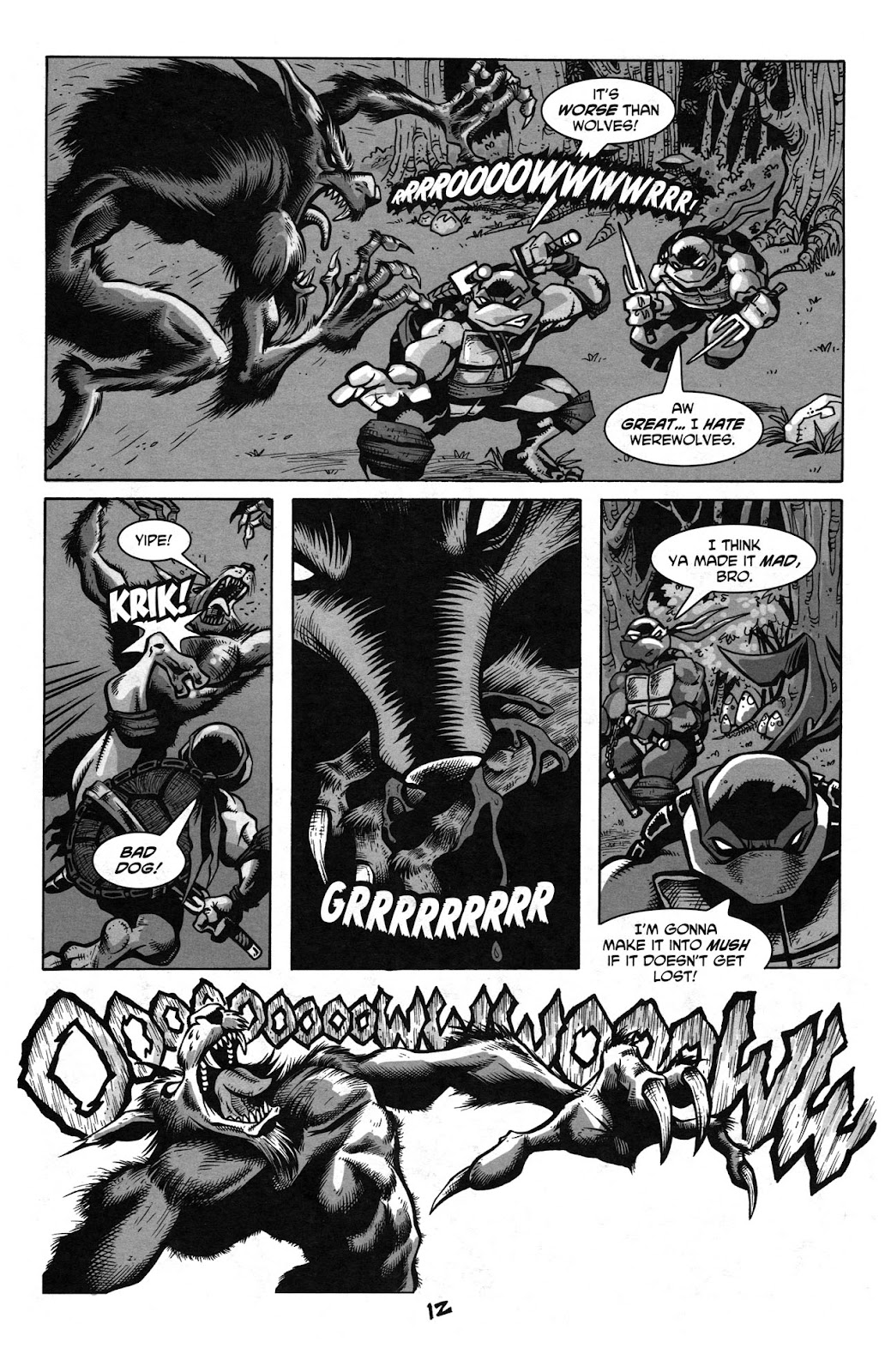 Tales of the TMNT issue 51 - Page 16