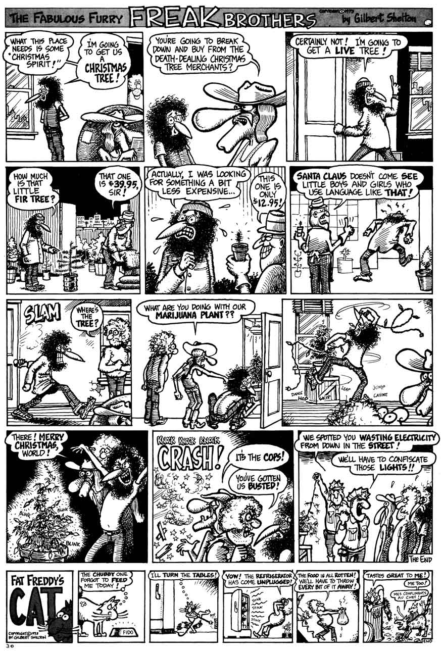 The Fabulous Furry Freak Brothers issue 3 - Page 31