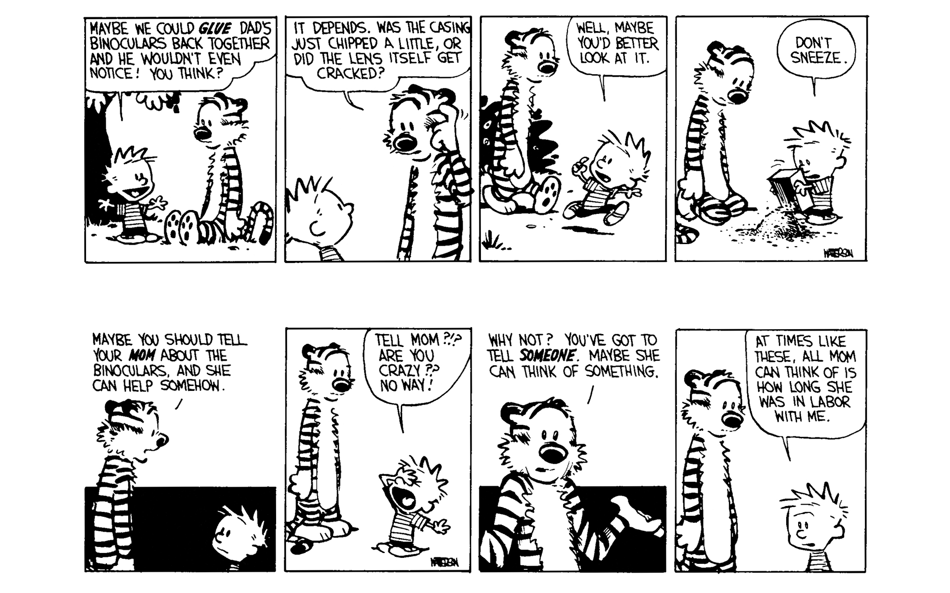 Read online Calvin and Hobbes comic -  Issue #4 - 55