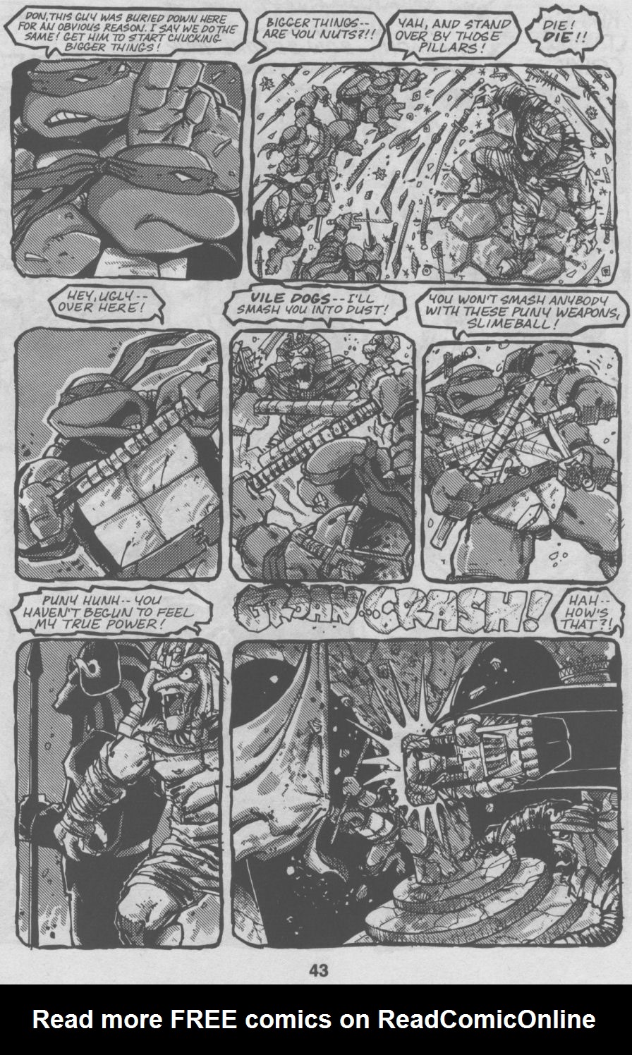 Read online Teenage Mutant Ninja Turtles (1984) comic -  Issue #32 - 43