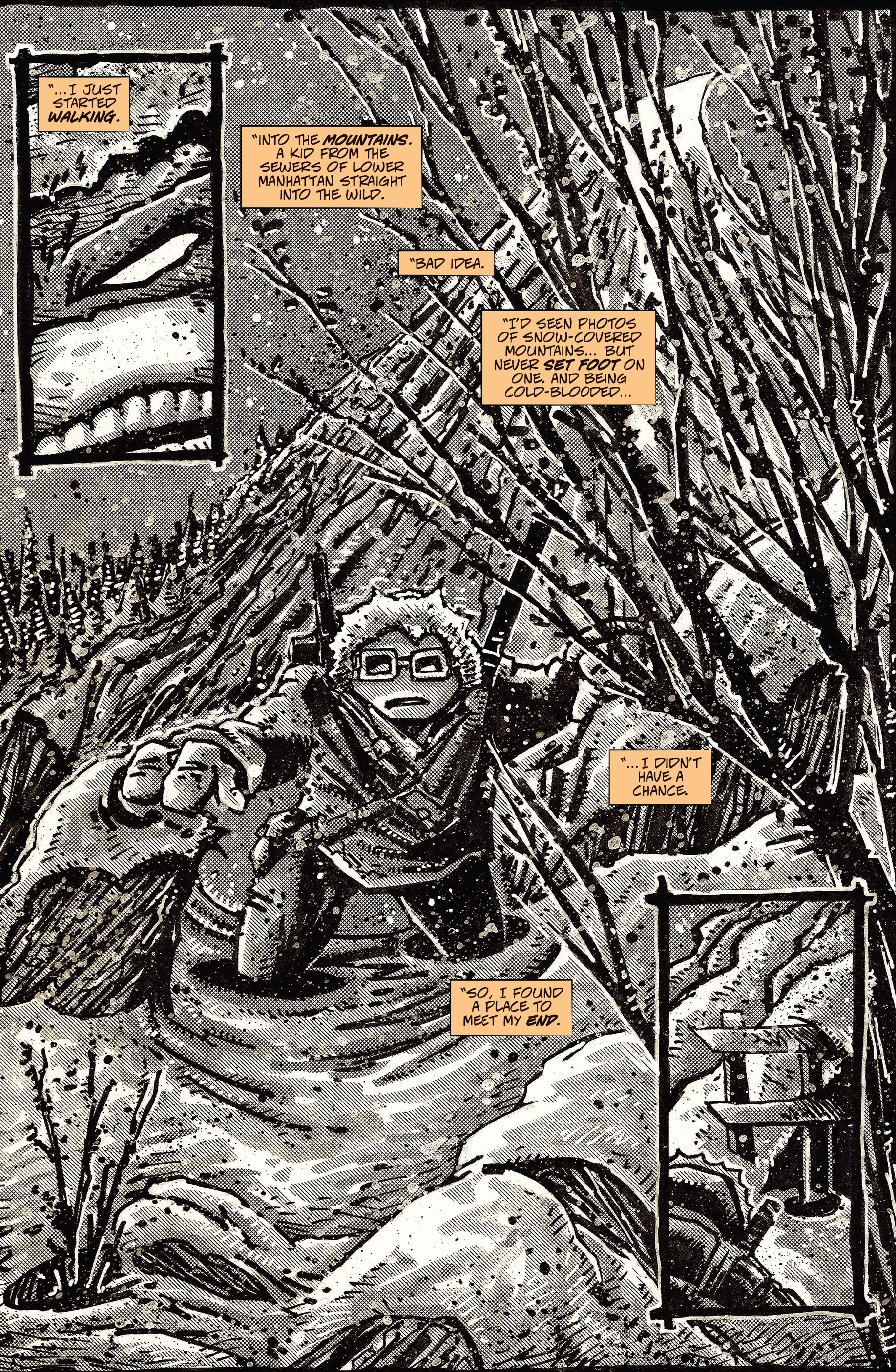 Read online Teenage Mutant Ninja Turtles: The Last Ronin comic -  Issue #2 - 36